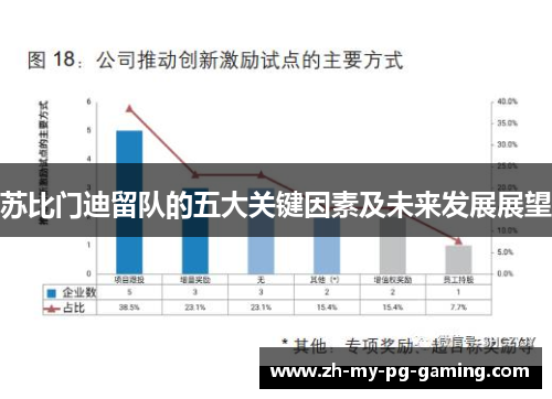 苏比门迪留队的五大关键因素及未来发展展望