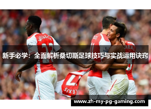 新手必学：全面解析桑切斯足球技巧与实战运用诀窍