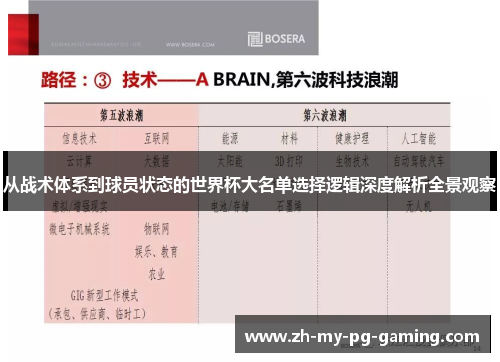 从战术体系到球员状态的世界杯大名单选择逻辑深度解析全景观察